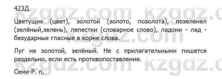 Русский язык Сабитова З. 5 класс 2017 Упражнение 423Д