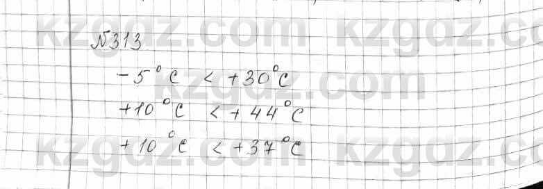 Математика Алдамуратова 6 класс 2018 Упражнение 313