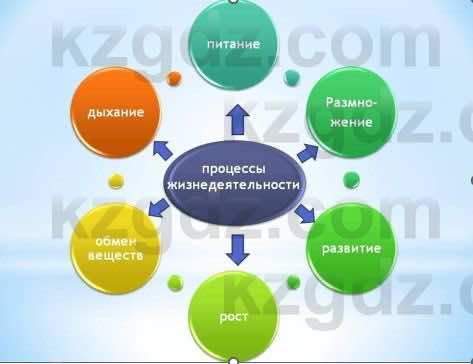 Естествознание Каратабанов Р., Верховцева Л. 6 класс 2019 Задание 5