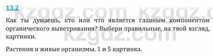 Естествознание Верховцева Л. 5 класс 2019 Вопрос стр.13.2