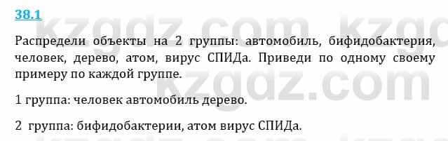 Естествознание Верховцева Л. 5 класс 2019 Вопрос стр.38.1