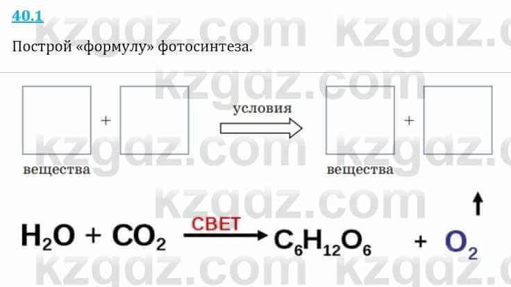 Естествознание Верховцева Л. 5 класс 2019 Вопрос стр.40.1