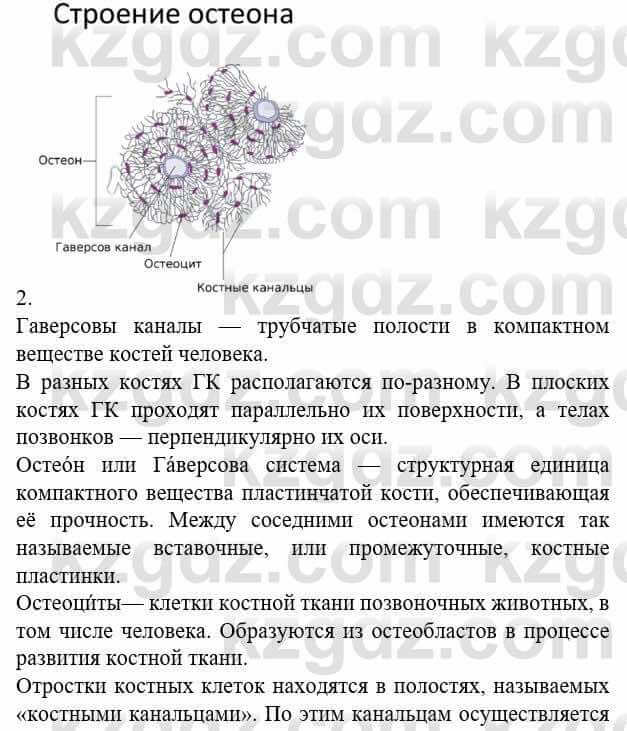 Биология Соловьева А. 8 класс 2018 Анализ 2