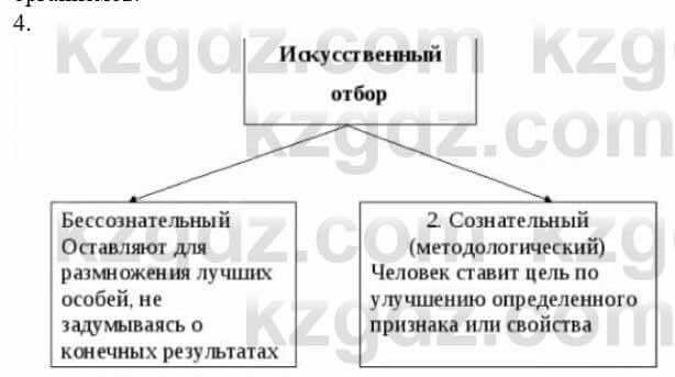 Биология Соловьева А. 8 класс 2018 Синтез 4