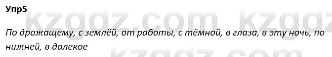 Русский язык и литература Ержанова Р. 9 класс 2019 Вопрос 5